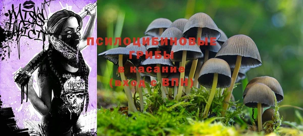 мескалин Осташков