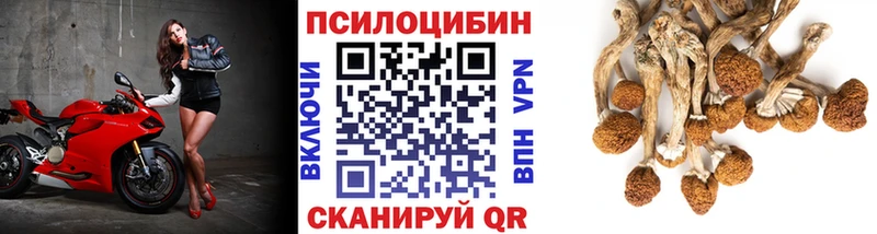 Галлюциногенные грибы GOLDEN TEACHER  MEGA ссылки  Ужур 